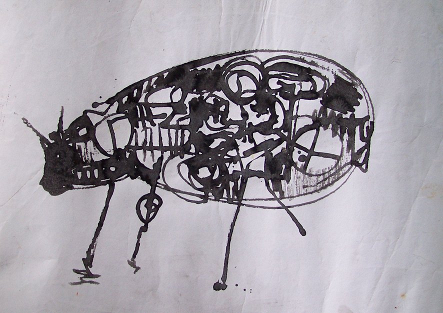 Isha Black 1996 Cicada